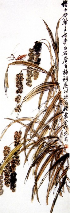 稻谷与昆虫图片