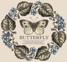 梦幻美人鱼公主 海底世界图片,爱丽儿 迪士尼公