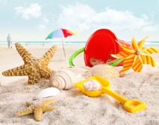 大自然沙滩上的海螺贝壳海星图片