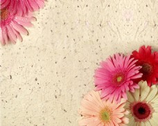 花卉石纹背景墙