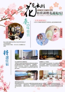 日本彩页  樱花季旅游  DM/宣传单