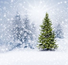 星星圣诞树背景图片