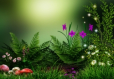 蘑菇与鲜花植物风景图片
