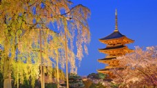 日本塔建筑风景图片