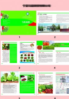 绿色蔬菜商贸中英文宣传画册