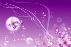 紫色背景花卉背景墙