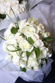 玫瑰花束一束白色玫瑰花图片