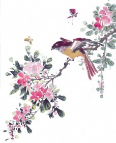 花鸟鲜花与小鸟插画背景图片
