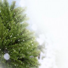 圣诞树与雪花图片