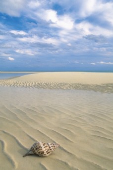 景观水景沙滩贝壳写真图片
