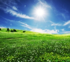 蓝天白云草地太阳下的草原图片