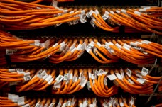 网络通信橙色计算机通信网络图片