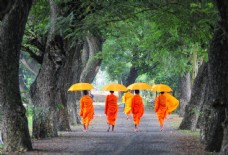 圣教打伞的印度佛教圣人图片