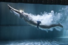 潜水的游泳运动员图片