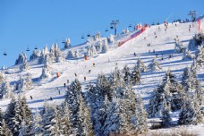 雪山滑雪公园风景图片