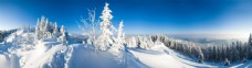 冬天雪景冬天森林雪景图片