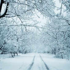冬天雪景冬天的道路雪景图片