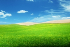 大自然美丽草原美景图片