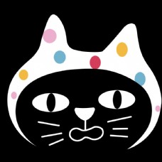 猫咪 表情 带帽子的猫 黑猫