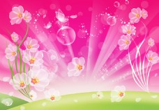 梦幻浪漫粉色透明白色花朵背景墙