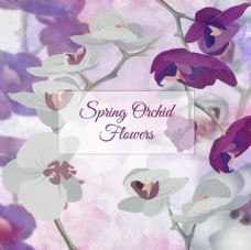 春季新品上市手绘水彩春季紫罗兰背景