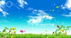 春季蓝天白云草地