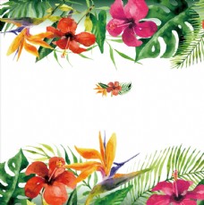矢量花卉水彩热带树叶花卉矢量图案