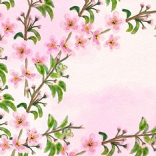 樱桃上市手绘水彩春季樱花桃花