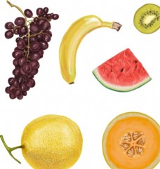 进口蔬果五款手绘水彩水果