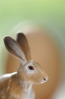 装饰小品可爱小兔子装饰品图片