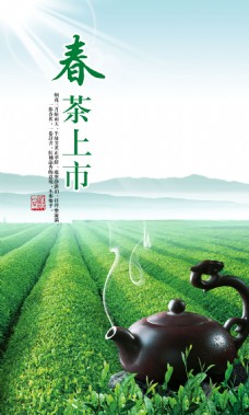 茶叶宣传单商业海报