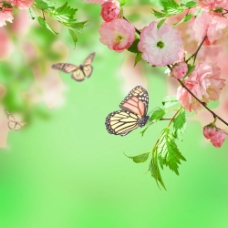 树木鲜花蝴蝶梦幻背景素材图片