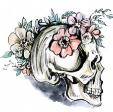 手绘水彩花卉骷髅头骨插图
