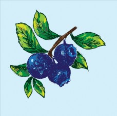 进口蔬果彩绘蓝莓