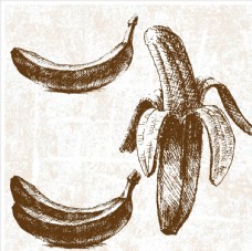 进口蔬果手绘香蕉