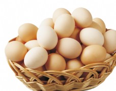 健康饮食鸡蛋