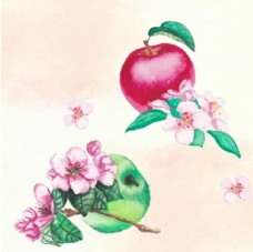 手绘水彩苹果插图