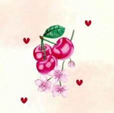 进口蔬果手绘水彩樱桃插图